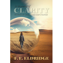 Moment of Clarity, A: Stories of Lives Lived and Unlived